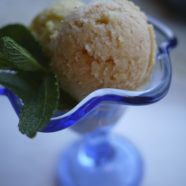 Homemade Sorbet