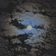 “Monster Moon” Easter Fete